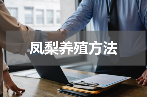 凤梨养殖方法