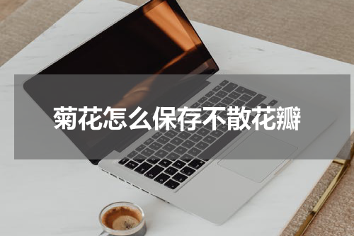 菊花怎么保存不散花瓣