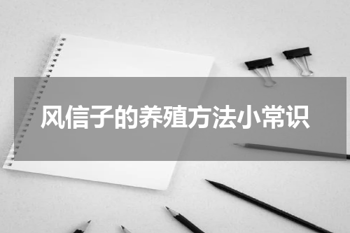 风信子的养殖方法小常识