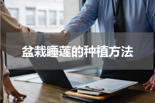 盆栽睡莲的种植方法