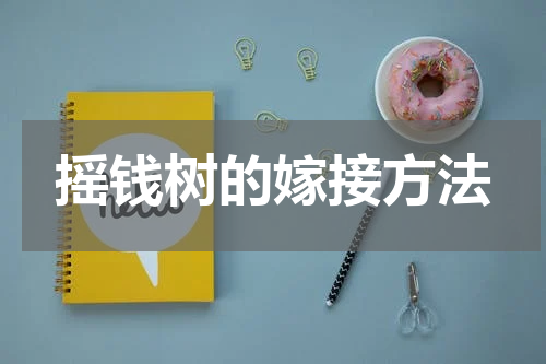 摇钱树的嫁接方法