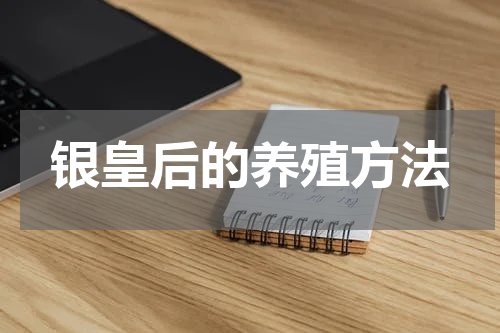 银皇后的养殖方法