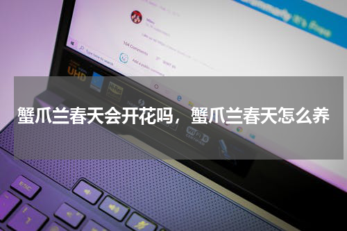 蟹爪兰春天会开花吗，蟹爪兰春天怎么养