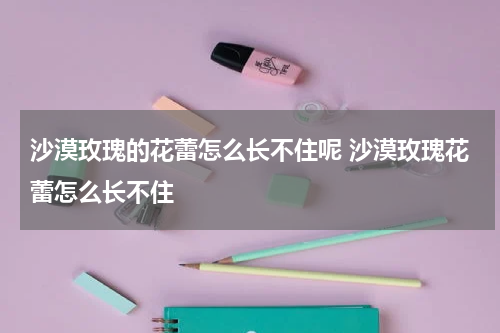 沙漠玫瑰的花蕾怎么长不住呢 沙漠玫瑰花蕾怎么长不住