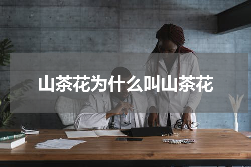 山茶花为什么叫山茶花