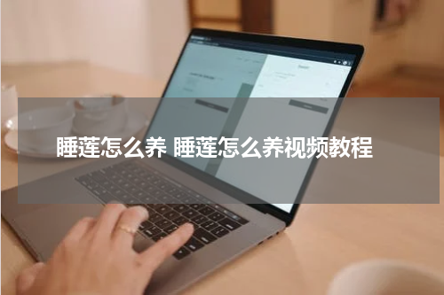 睡莲怎么养 睡莲怎么养视频教程