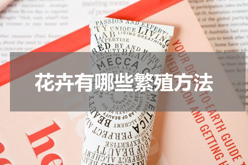 花卉有哪些繁殖方法