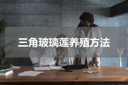 三角玻璃莲养殖方法