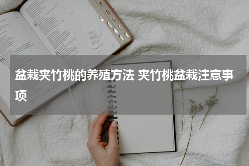 盆栽夹竹桃的养殖方法 夹竹桃盆栽注意事项
