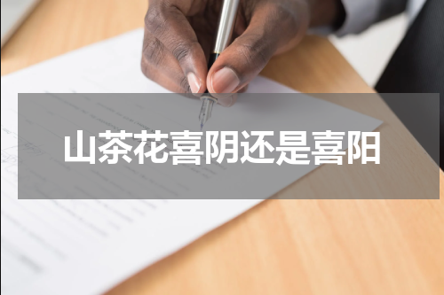 山茶花喜阴还是喜阳