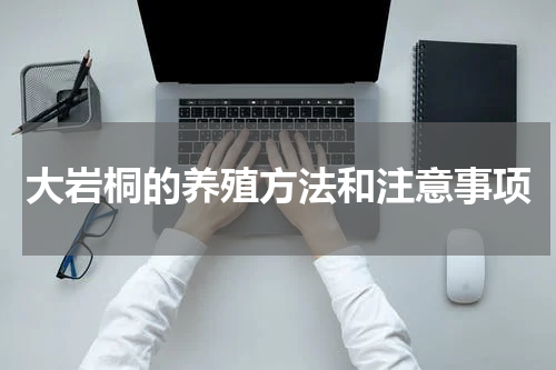 大岩桐的养殖方法和注意事项