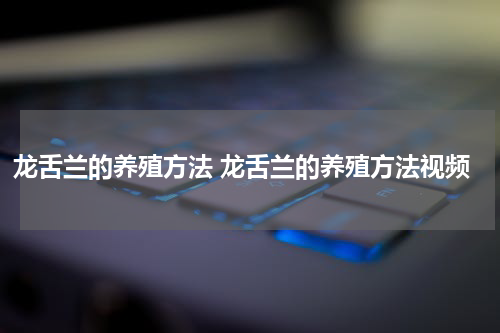 龙舌兰的养殖方法 龙舌兰的养殖方法视频