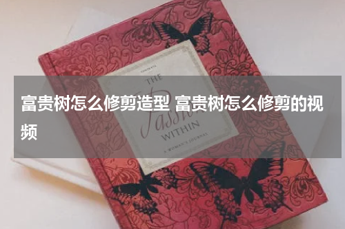 富贵树怎么修剪造型 富贵树怎么修剪的视频