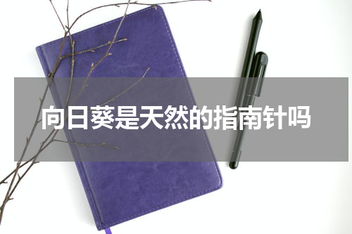 向日葵是天然的指南针吗