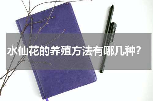 水仙花的养殖方法有哪几种？