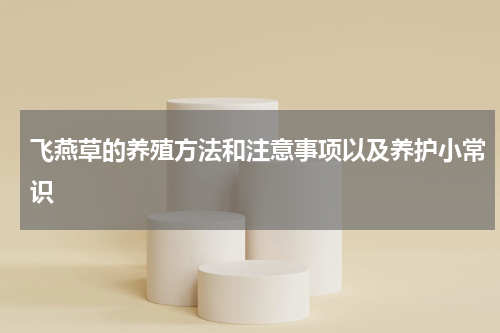飞燕草的养殖方法和注意事项以及养护小常识