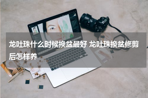 龙吐珠什么时候换盆最好 龙吐珠换盆修剪后怎样养
