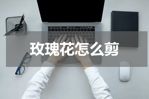 玫瑰花怎么剪