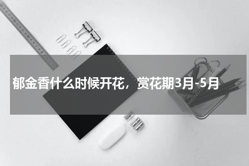 郁金香什么时候开花，赏花期3月-5月