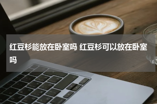 红豆杉能放在卧室吗 红豆杉可以放在卧室吗