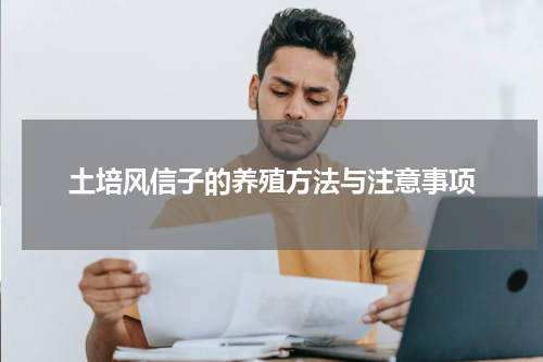 土培风信子的养殖方法与注意事项