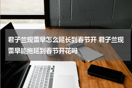 君子兰现蕾早怎么延长到春节开 君子兰现蕾早能拖延到春节开花吗