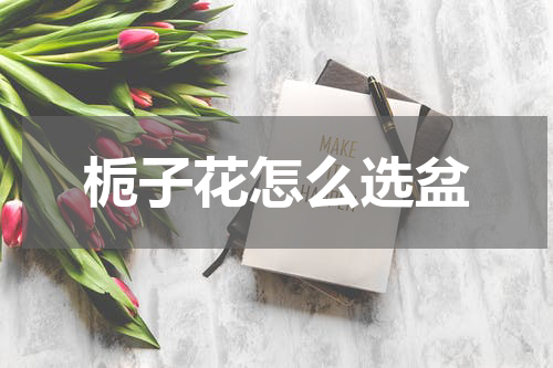 栀子花怎么选盆