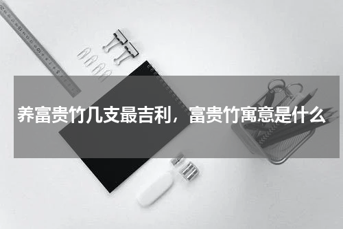 养富贵竹几支最吉利，富贵竹寓意是什么