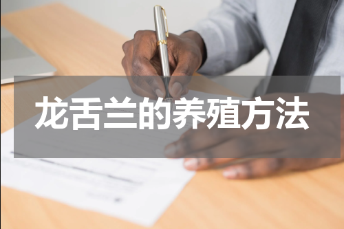 龙舌兰的养殖方法