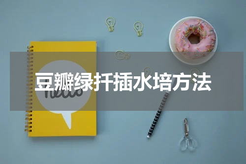 豆瓣绿扦插水培方法