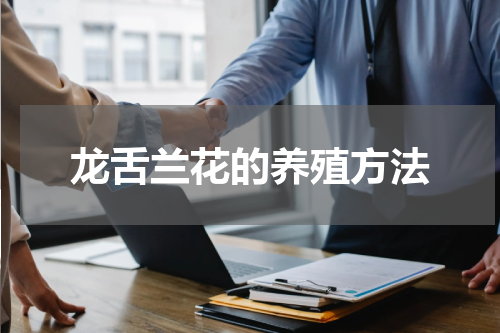 龙舌兰花的养殖方法
