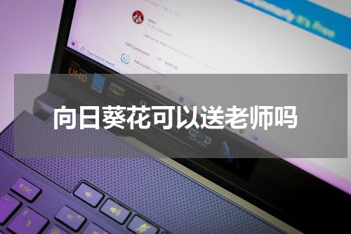 向日葵花可以送老师吗