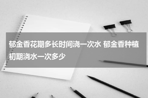 郁金香花期多长时间浇一次水 郁金香种植初期浇水一次多少