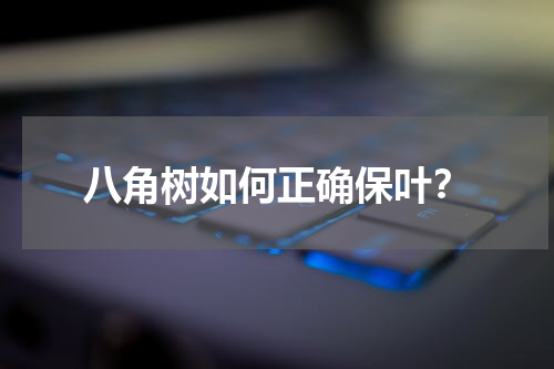 八角树如何正确保叶？