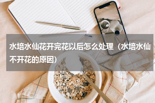 水培水仙花开完花以后怎么处理（水培水仙不开花的原因）