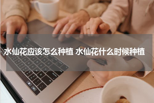 水仙花应该怎么种植 水仙花什么时候种植