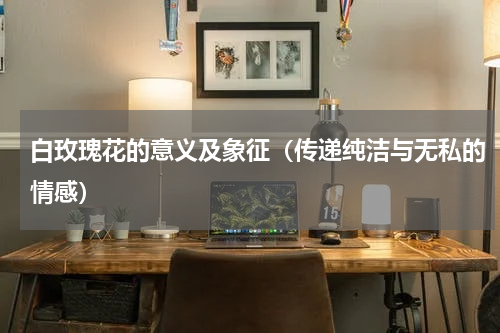 白玫瑰花的意义及象征（传递纯洁与无私的情感）