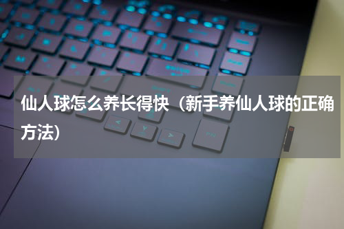 仙人球怎么养长得快（新手养仙人球的正确方法）