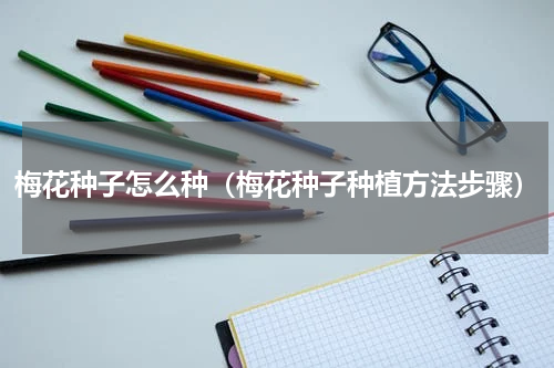 梅花种子怎么种（梅花种子种植方法步骤）