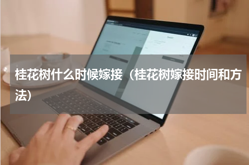 桂花树什么时候嫁接（桂花树嫁接时间和方法）