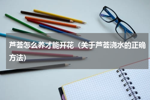 芦荟怎么养才能开花（关于芦荟浇水的正确方法）