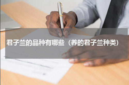 君子兰的品种有哪些（养的君子兰种类）