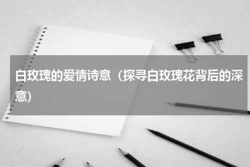 白玫瑰的爱情诗意（探寻白玫瑰花背后的深意）