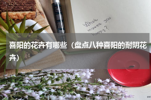 喜阳的花卉有哪些（盘点八种喜阳的耐阴花卉）
