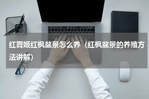 红舞姬红枫盆景怎么养（红枫盆景的养殖方法讲解）