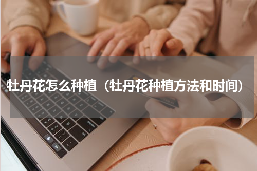牡丹花怎么种植（牡丹花种植方法和时间）