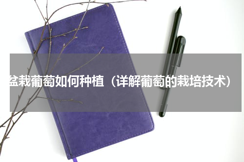 盆栽葡萄如何种植（详解葡萄的栽培技术）