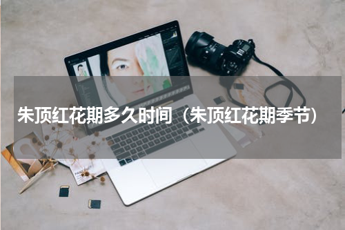朱顶红花期多久时间（朱顶红花期季节）