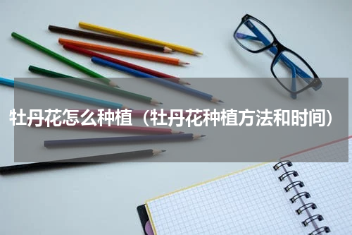 牡丹花怎么种植（牡丹花种植方法和时间）