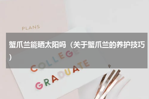 蟹爪兰能晒太阳吗（关于蟹爪兰的养护技巧）